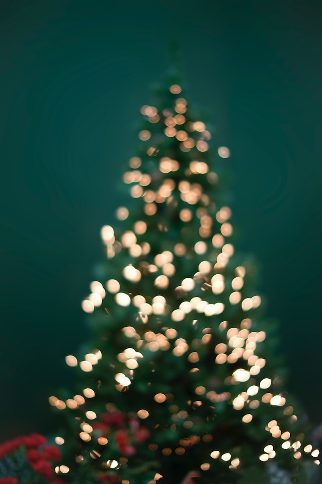 The Ultimate Guide to Early Christmas Shopping